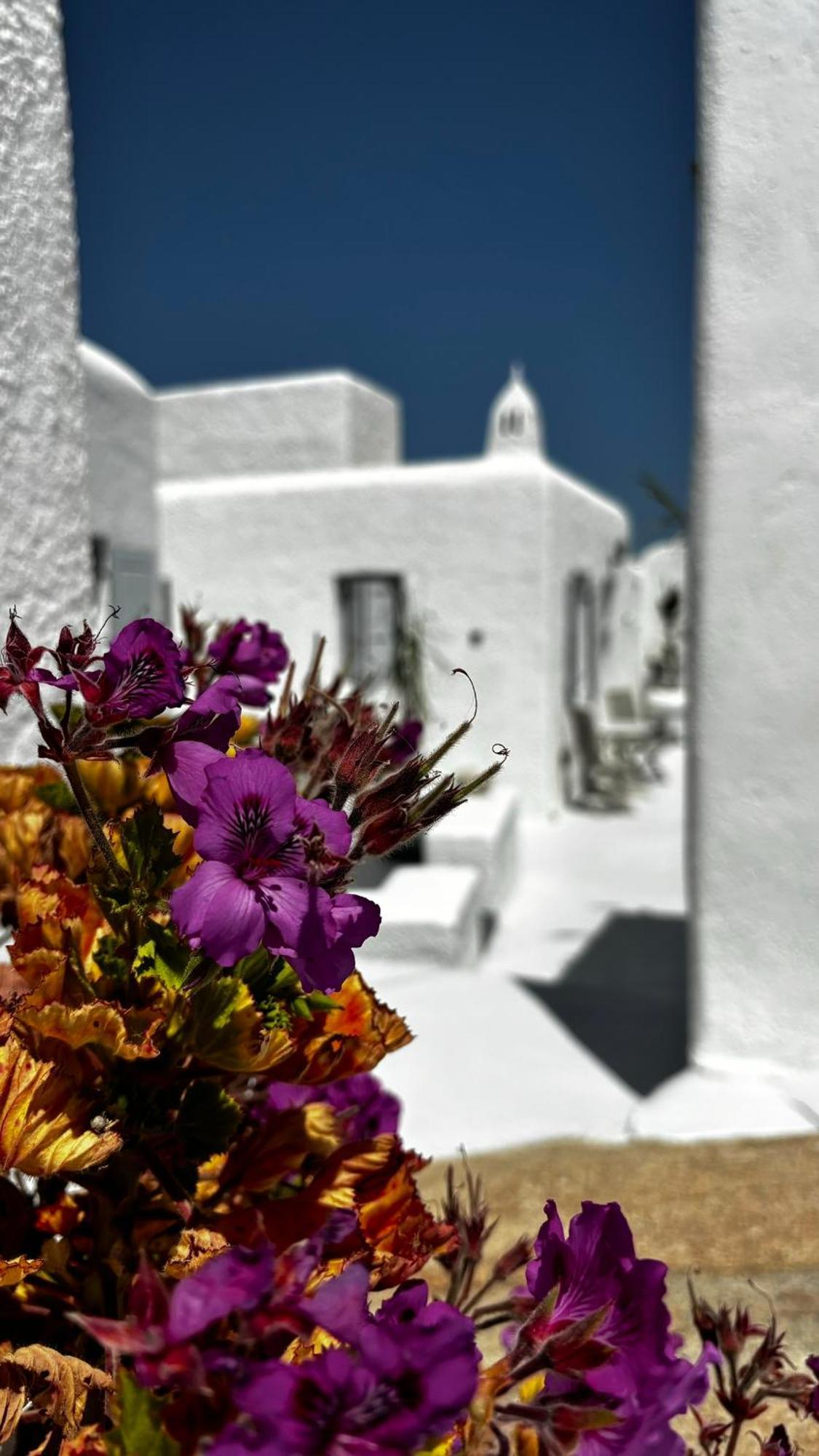 Hotel Vougli View Mykonos Drafaki Exteriér fotografie