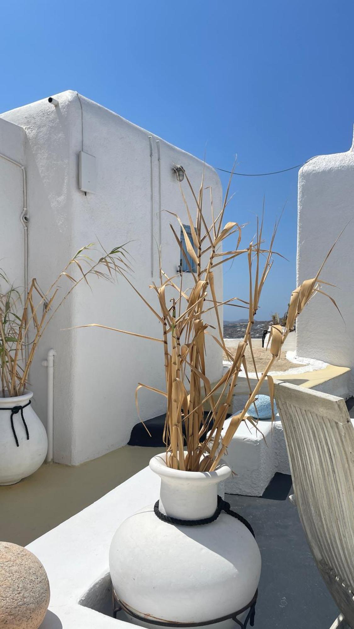 Hotel Vougli View Mykonos Drafaki Exteriér fotografie
